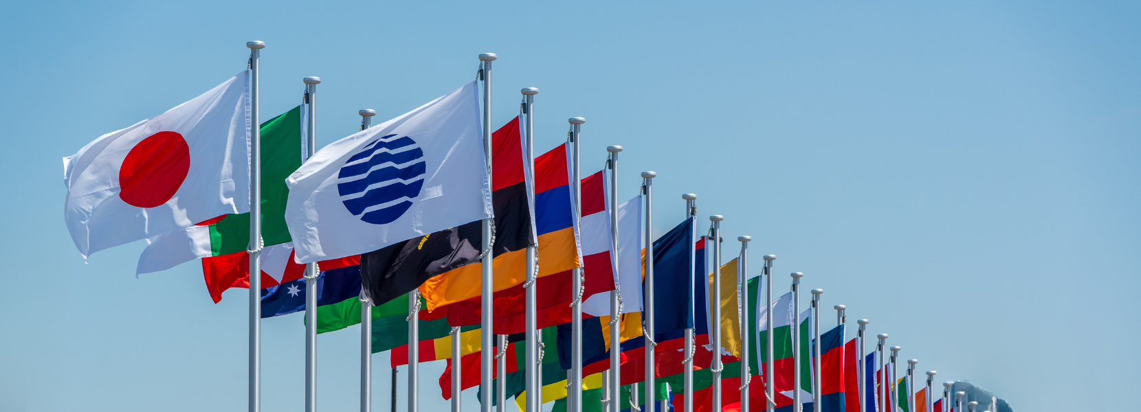 参加レポート イメージ